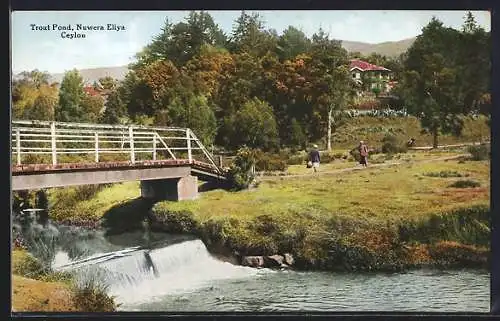 AK Nuwera Eliya, Trout Pond