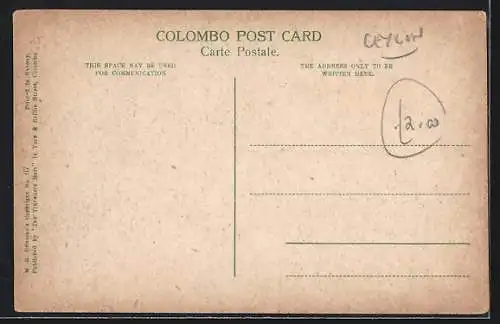 AK Colombo, Museum