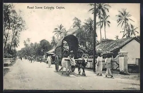 AK Colombo, Colpetty, Road Scene, Rinderkarren