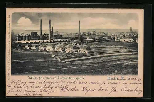 AK Esch s. A., Hauts fourneaux Luxembourgeois