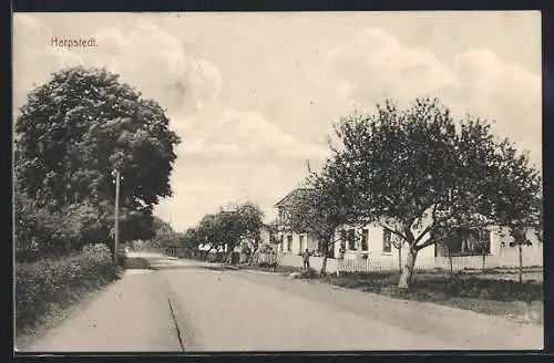 AK Harpstedt, Strassenpartie mit Wohnhäusern