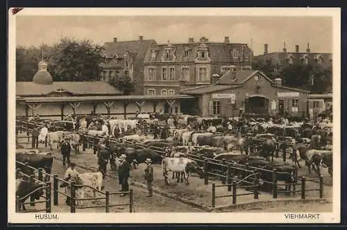 AK Husum / Nordsee, Teilansicht mit Viehmarkt