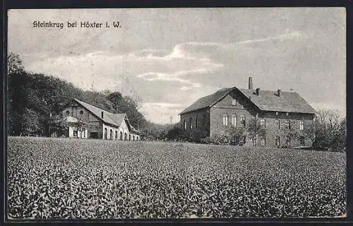 AK Höxter i. W., Gasthof Steinkrug am Waldrand