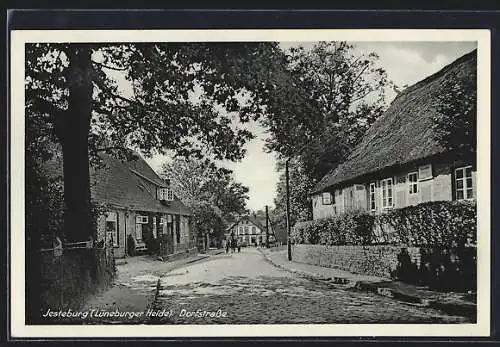 AK Jesteburg, Dorfstrasse im Sonnenschein