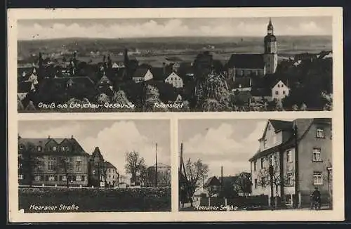 AK Glauchau-Gesau, Meeraner Strasse, Ortsansicht