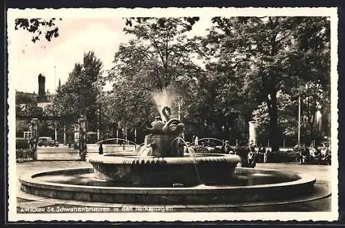 AK Zwickau /Sa., Schwanenbrunnen in den Parkanlagen