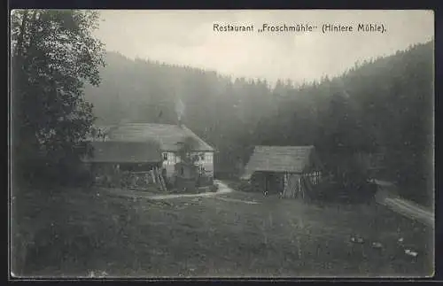 AK Eisenberg / Thür., Restaurant Froschmühle