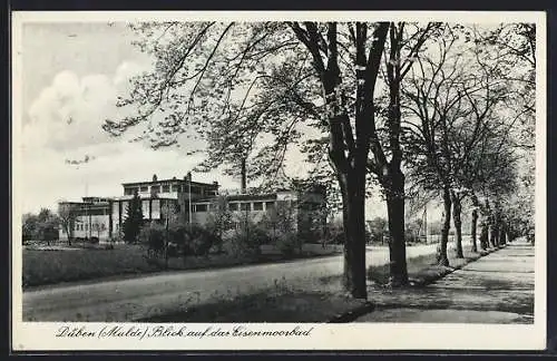 AK Düben / Mulde, Blick auf das Eisenmoorbad