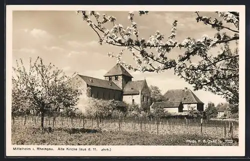 AK Mittelheim i. Rheingau, Alte Kirche aus dem 11. Jahrhundert