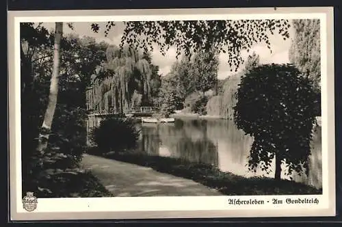 AK Aschersleben, Am Gondelteich