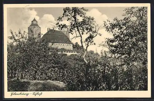 AK Eilenburg, Partie am Schloss