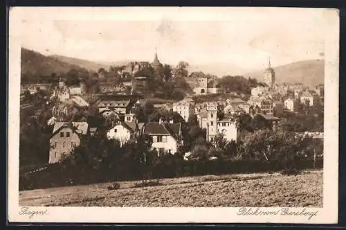 AK Siegen, Blick vom Giersberg auf den Ort