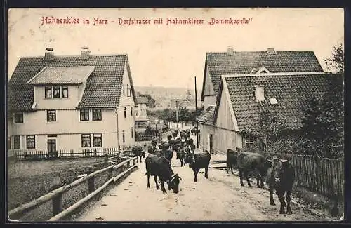 AK Hahnenklee / Harz, Dorfstrasse mit Hahnenkleer Damenkapelle