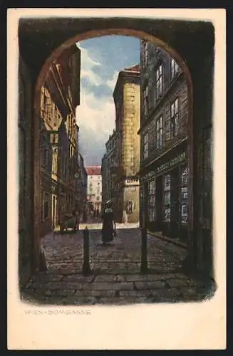 Künstler-AK Wien, Blick in die Domgasse