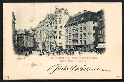 AK Wien, Neuer Markt mit Donner-Brunnen und Hotel Meissl & Schadn