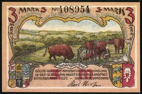 Notgeld Süderbrarup 1920, 3 Mark, Torsbergmoor mit Hünengrab und Angler Rind