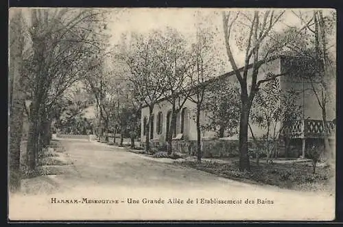 AK Hammam-Meskoutine, Une Grande allée de l`Etablissement des Bains