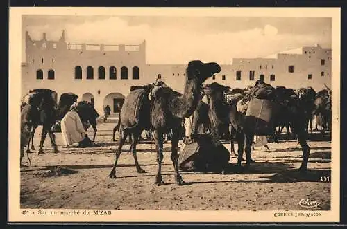 AK M`Zab, Sur un marché