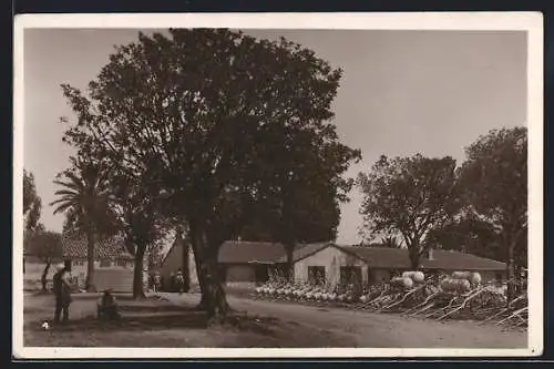 AK Saint-Louis-de-Daroussa, Entrée du Bordj. Appareils de sulfatage de la vigne