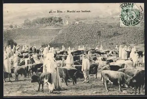 AK Bône, Marché aux bestiaux