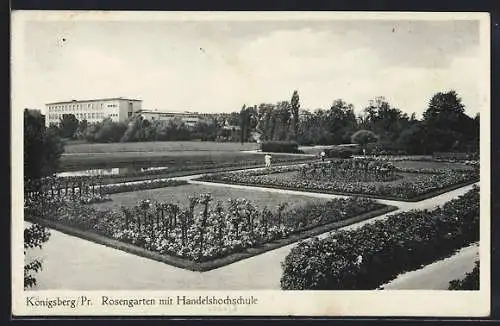 AK Königsberg i. Pr., Rosengarten mit Handelshochschule