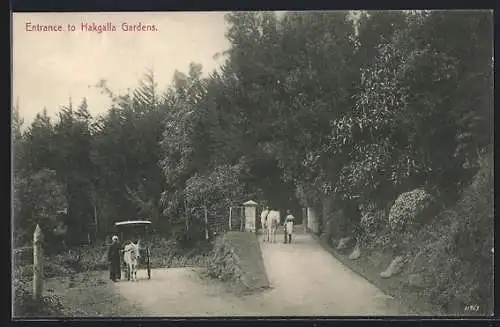 AK Ceylon, Entrance to Hakgalla Gardens