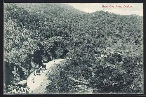 AK Nanu-Oya Pass, Pferde und Karren auf der Bergstrasse