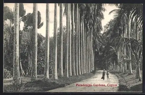 AK Ceylon, Peradeniya Gardens