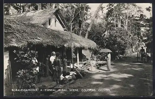 AK Colombo, Boralesgamuwa, A Typical Rural Scene