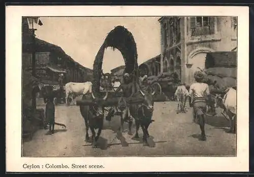 AK Colombo, Street Scene