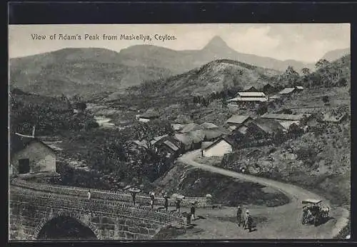 AK Maskellya, View of Adam`s Peak