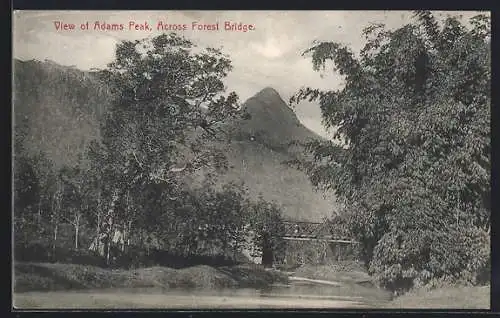 AK Adams Peak, View of Peak across Forest Bridge