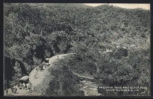 AK Nanuoya Pass /Nuwara Eliya, Pass and Black Pool