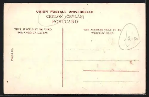 AK Anuradhapura, The Ruined Cities