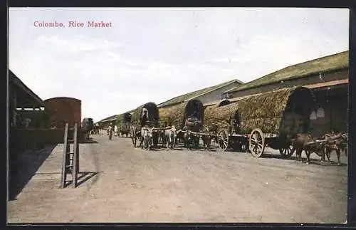 AK Colombo, Rice Market