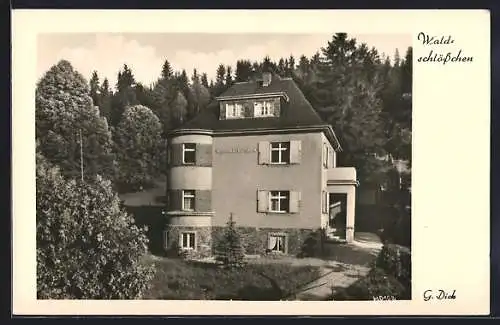 AK Bad Elster, Hotel Waldschlösschen