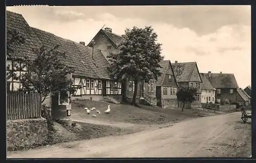 AK Breitenstein /Harz, Dorfstrasse mit Gänseschar