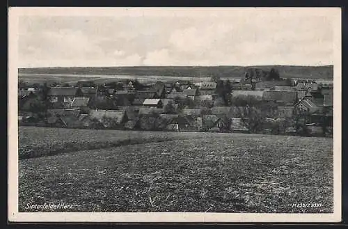 AK Siptenfelde /Harz, Ortsansicht von einem Feld aus