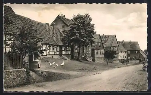 AK Breitenstein /Harz, Dorfstrasse mit Gänsen