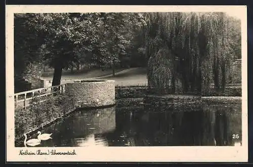 AK Northeim /Hann., Am Schwanenteich