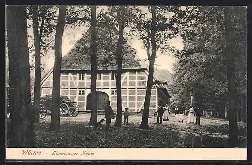 AK Wörme / Lüneburger Heide, Typisches Bauernhaus