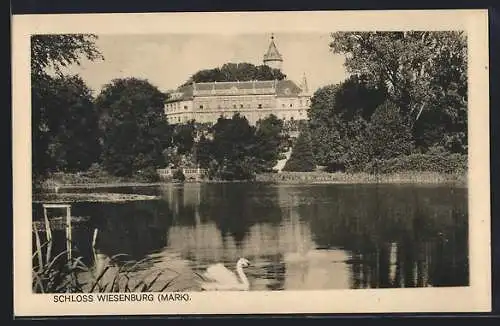 AK Wiesenburg / Mark, Blick aufs Schloss, Schwan