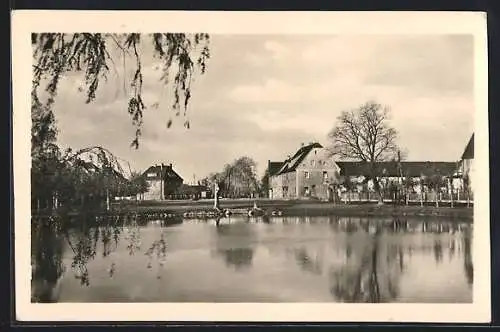 AK Roitzsch /Bitterfeld, Ortspartie mit Teich