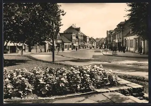 AK Rosslau a. d. Elbe, Blick in die Hauptstrasse