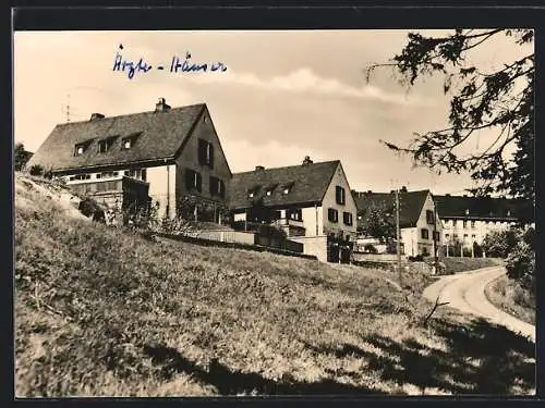AK Erlabrunn /Erzgeb., Strassenpartie mit Wohnhäusern