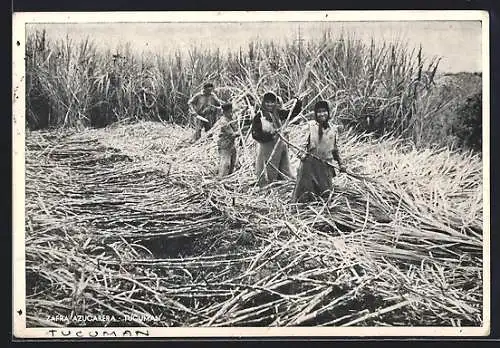 AK Tucuman, Zafra Azucarera
