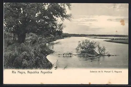 AK Rio Negro, Blick über die Flusslandschaft