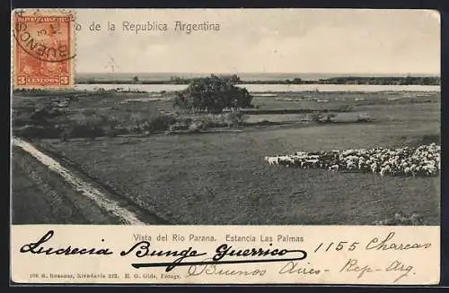 AK Rio Parana, Vista del Rio, Estancia Las Palmas