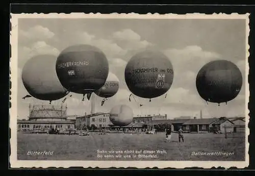 AK Bitterfeld, Ballonwettfliegen, Ballone von Tschammer und Osten, Bruno Loerzer, Hermann Göring