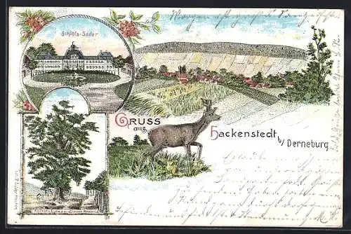 Lithographie Hackenstedt b. Derneburg, Schloss Söder, Älteste Eiche der Provinz